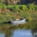 boat_embaba_cai_h_0021_egy0281.jpg