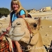 camel_giza_cai_h_0020_egy1066.jpg