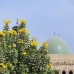 citadel_cai_h_0074_egy0106.jpg
