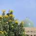 citadel_cai_h_0075_egy0107.jpg