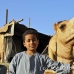 market_camel_embaba_cai_h_0065_egy0328.jpg