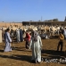 market_camel_embaba_cai_h_0113_egy0383.jpg