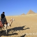 pyramid_giza_cai_h_0091_egy0887.jpg