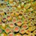 coral_cup_eg_roa_v_0055_uti2144.jpg
