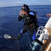 divers_aggressor2_uti_v_0285_uti2585.jpg