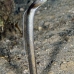 eel_garden_brown_eg_roa_v_0017_uti2097.jpg