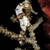 seahorse_longsnout_gwu_uti_v_0045_uti3040.jpg