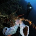 sponge_vase_azure_cp_roa_v_0267_uti4085.jpg
