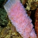 sponge_vase_azure_mb_roa_v_0133_uti2041.jpg