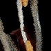 tongue_flamingo_cp_roa_v_0133_uti1773.jpg