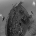 wreck_aguila_aw_roa_v_0003_uti4580.jpg