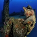 wreck_aguila_aw_roa_v_0170_uti4751.jpg
