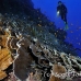coral_lettuce_bro_l_n_h_0045_egy0473.jpg