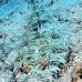 crocodilefish_abu_k_v_0024_egy0987.jpg