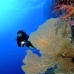 fan_sea_bro_l_v_0051_egy0352.jpg