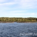 farm_salmon_manan_h_0009_can0009.jpg
