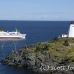 lighthouse_swallowtail_manan_h_0161_can0475.jpg