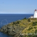 lighthouse_swallowtail_manan_h_0229_can0543.jpg