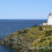 lighthouse_swallowtail_manan_h_0230_can0544.jpg