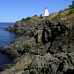 lighthouse_swallowtail_manan_v_0253_can0567.jpg