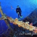 numidia_bro_b_h_0207_egy0567.jpg