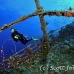 numidia_bro_b_h_0217_egy0577.jpg