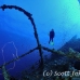 numidia_bro_b_h_0224_egy0584.jpg