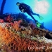 numidia_bro_b_h_0241_egy0601.jpg