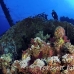 numidia_bro_b_h_0248_egy0608.jpg