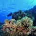 numidia_bro_b_h_0281_egy0644.jpg