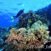 numidia_bro_b_h_0283_egy0646.jpg