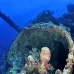 numidia_bro_b_v_0255_egy0615.jpg