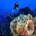 numidia_bro_b_v_0275_egy0637.jpg