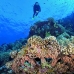 numidia_bro_b_v_0288_egy0651.jpg