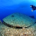 salem_express_sal_h_0042_egy0901.jpg