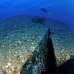 salem_express_sal_v_0037_egy0896.jpg