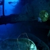 salem_express_sal_v_0100_egy0959.jpg
