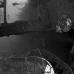salem_express_sal_v_0100_egy0959_bw.jpg